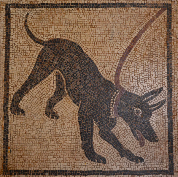 Triste comme un chien en Israël